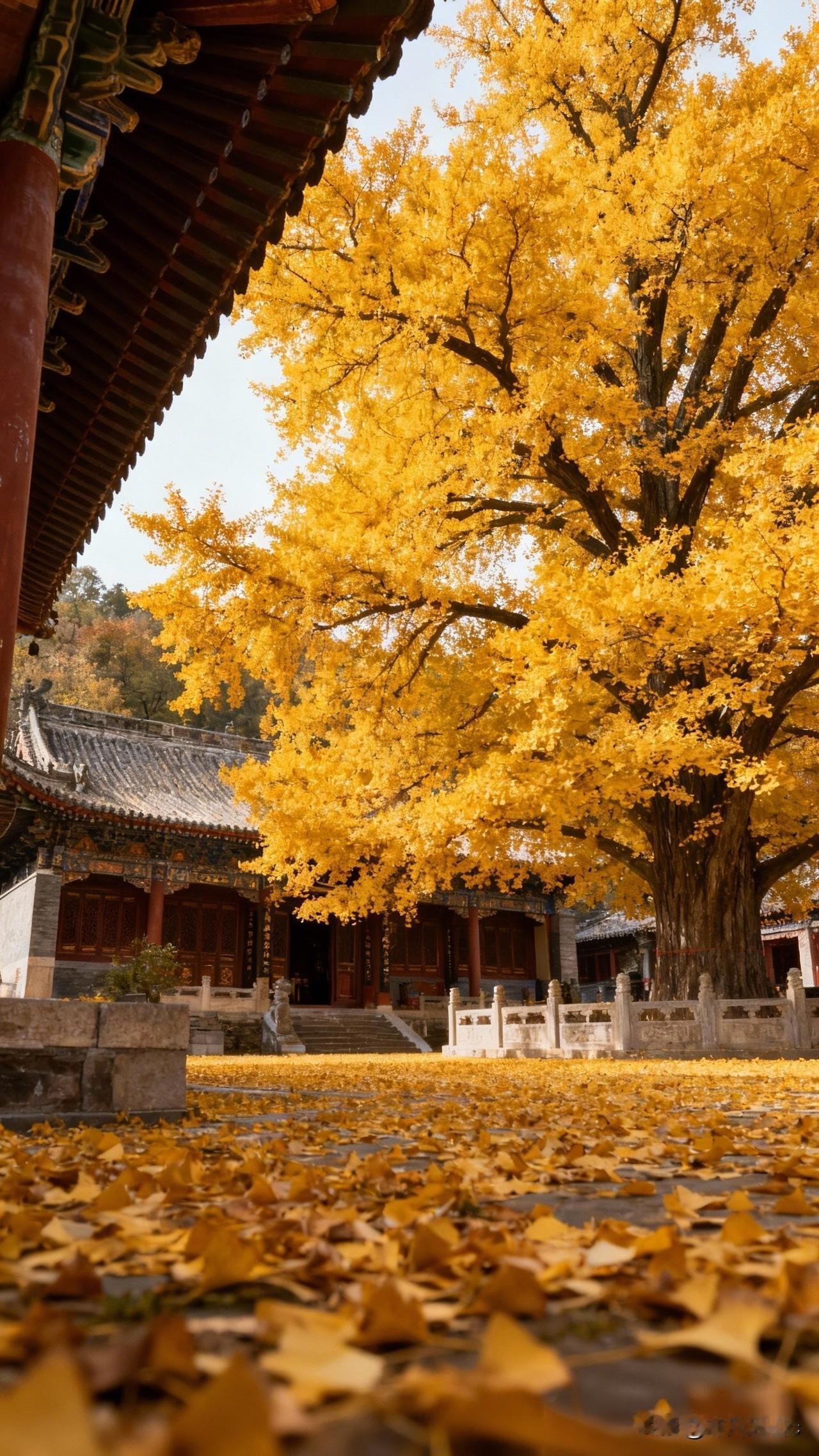 上联：秋乘落叶去，求下联：…？下联：冬随寒风来。友友请下联：…？友友请邀对下联 