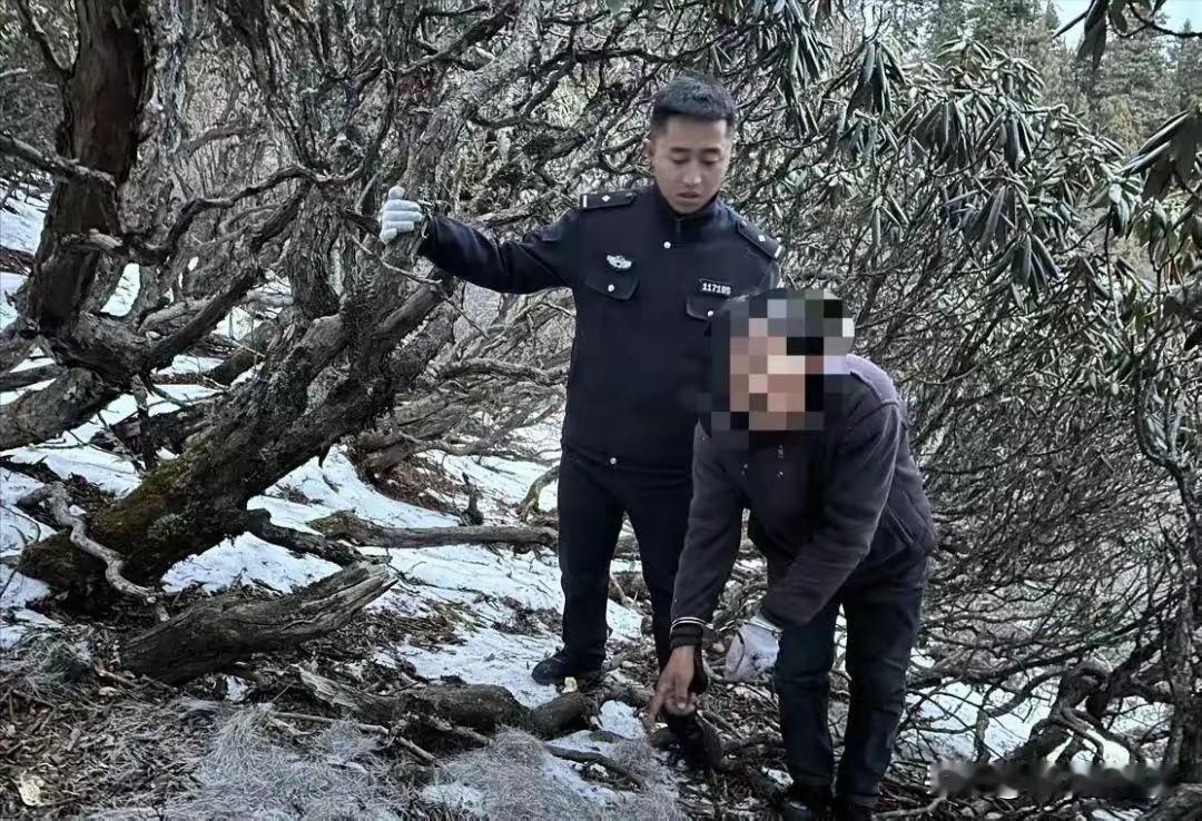 四川深山里竟藏着这么一桩触目惊心的捕猎案。几个看似老实的村民，从2023年起，用