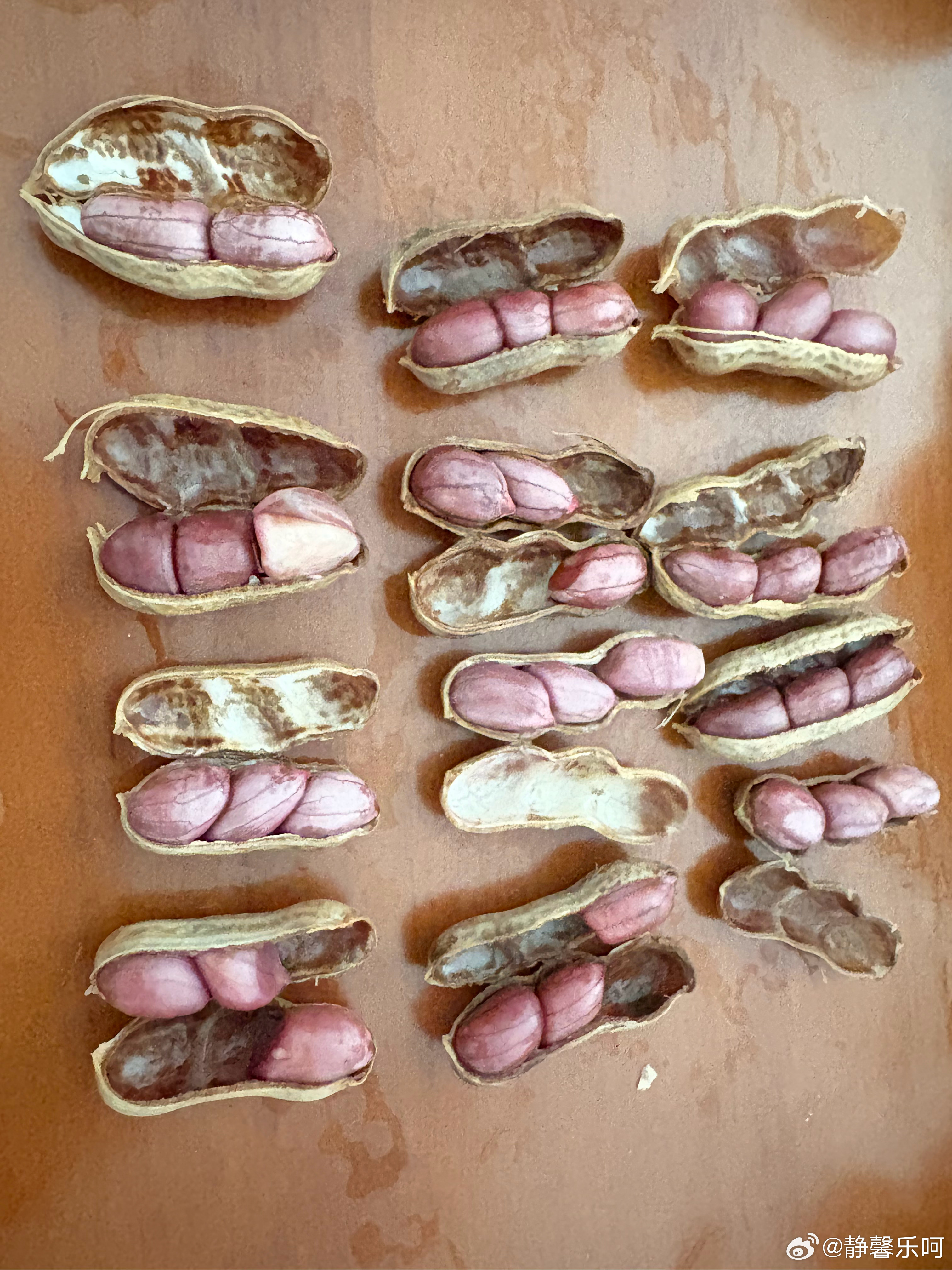 紫皮富含花青素，抗氧化物质含量高于普通粉皮花生19家A股上市公司发布上半年业绩预