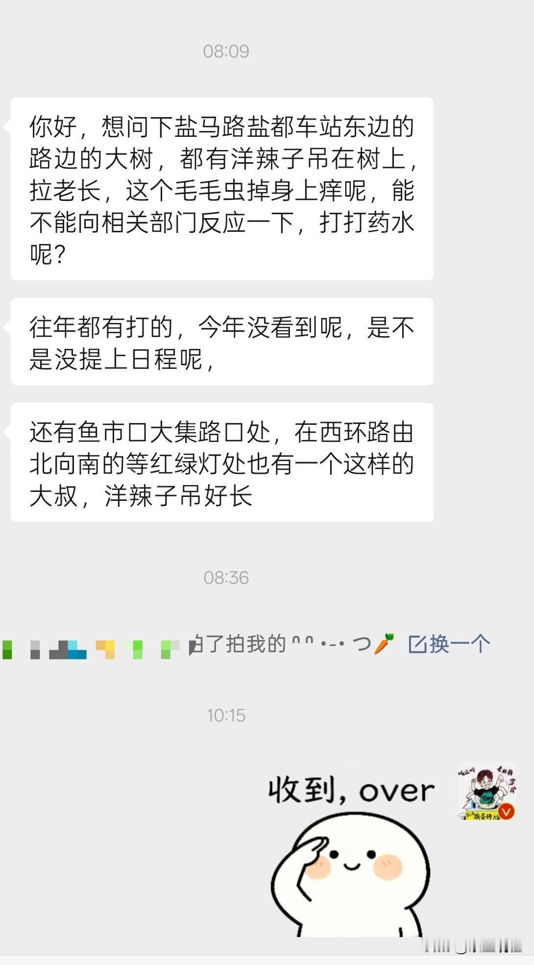 想问下盐马路盐都车站东边的路边的大树，都有洋辣子吊在树上，拉老长，这个毛毛虫掉身