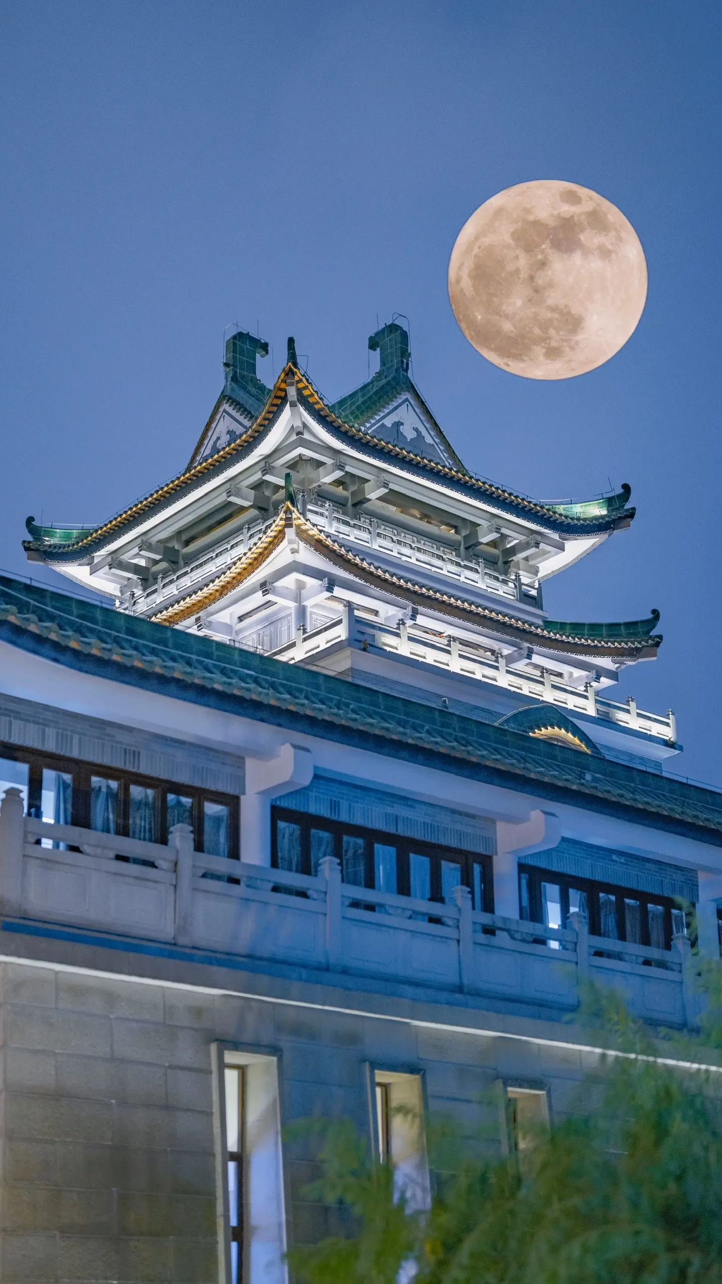 来对月亮许愿吧。