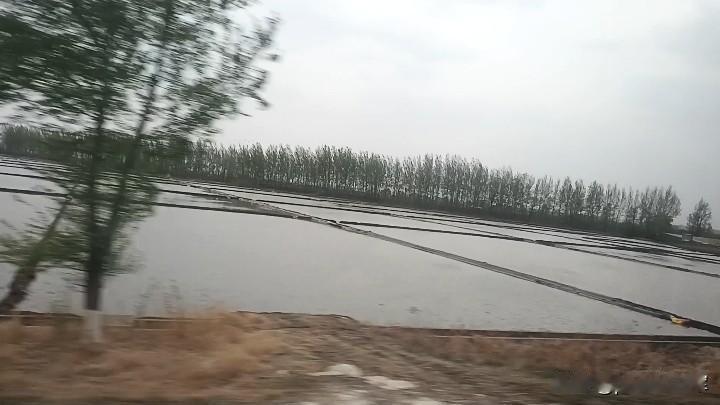 永吉万昌的大米
进入吉林永吉县，看车窗外，最多的风景，就是一望无际的稻田。
稻田
