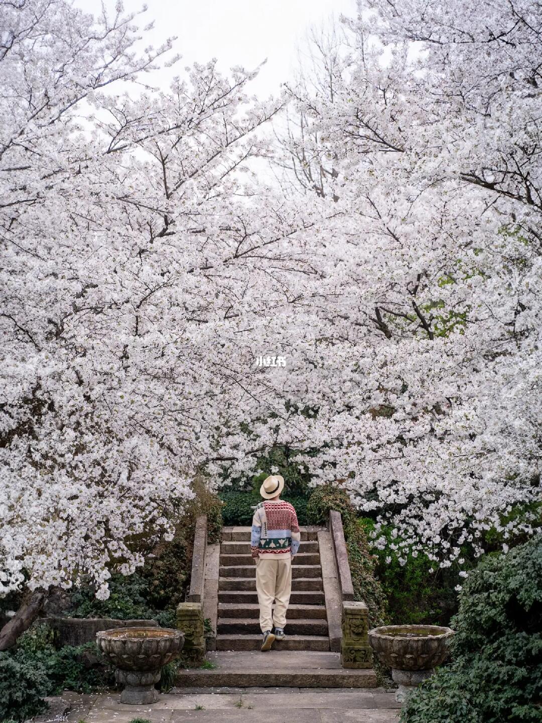 本以为西湖够美了｜直到我来到这些地方