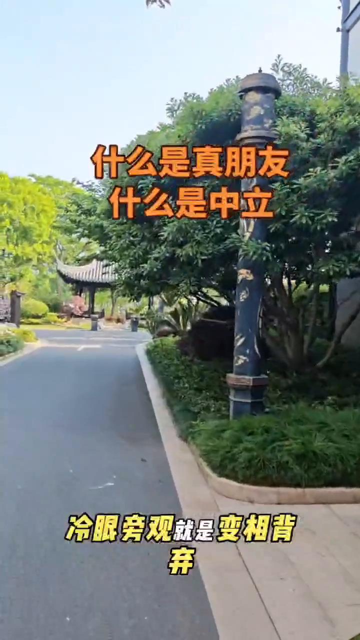 什么是真朋友？什么是中立？
遇到事情，朋友中立便是敌人，敌人中立便是朋友。在这个