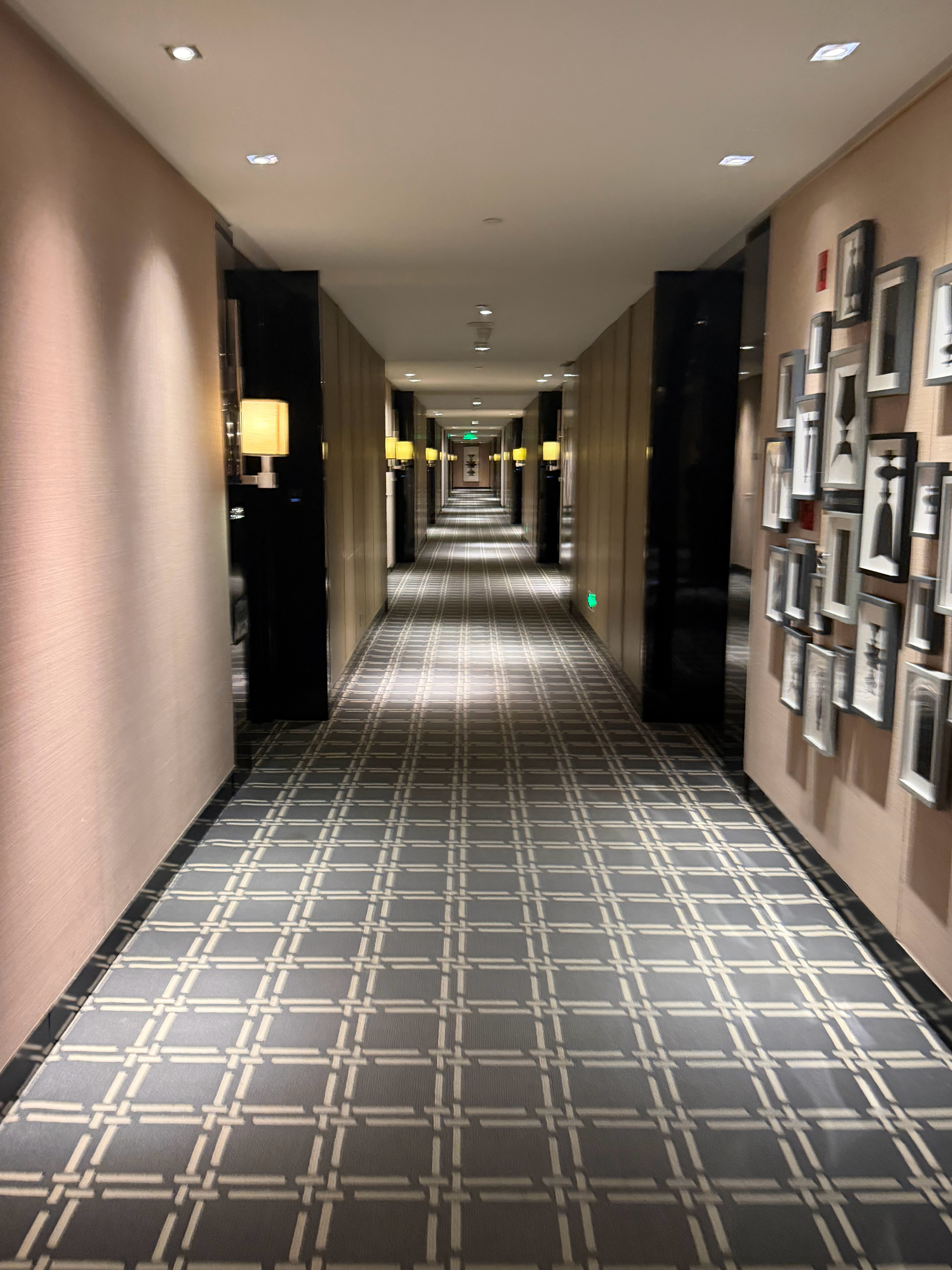 借职务之便给大家打卡广州W酒店同行和我说广州W被停业整顿过。我什么感觉都没有，因