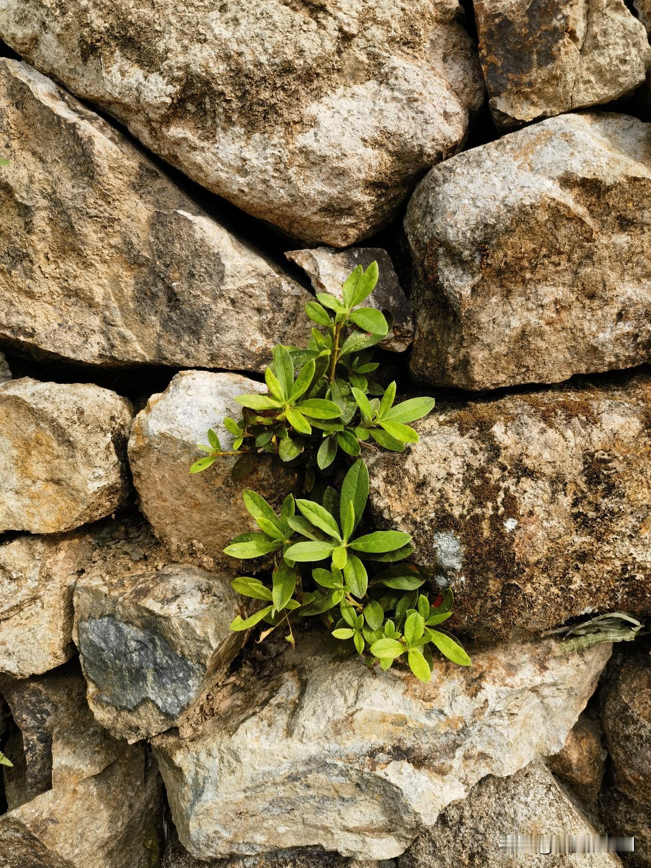 我们可以选择做一个高尚的人，
也可以选择做一个普通人。
但是我们不能期待，
人们