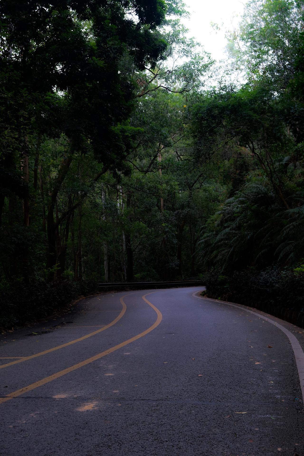他们都去哪了…头文字D 山路
