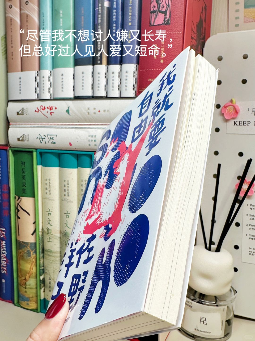 反内耗书单🌿一定要做快乐又自由的自己啊！