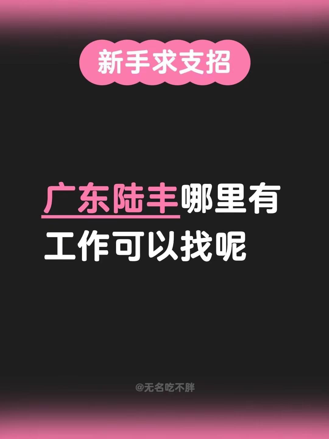 广东陆丰哪里有工作可以找呢广东海陆丰