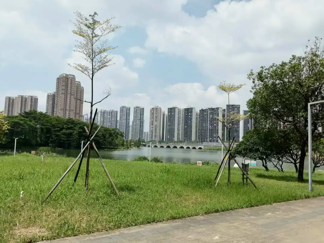南海农商行、顺德农商行IPO最新消息！