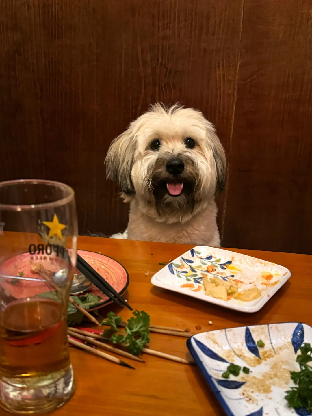 居酒屋拼桌拼到开朗美女 可以拒绝吗