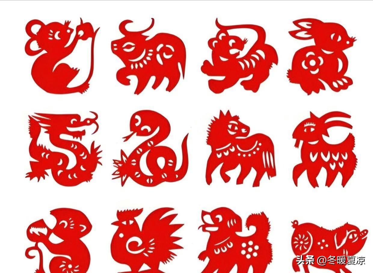 补全全套12生肖·老了谁会是你的靠山
 
1. 鼠——存款
2. 牛——女儿
3