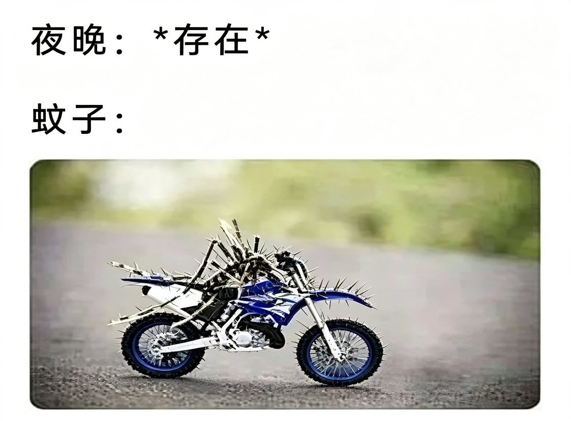 深夜炸街时间到 