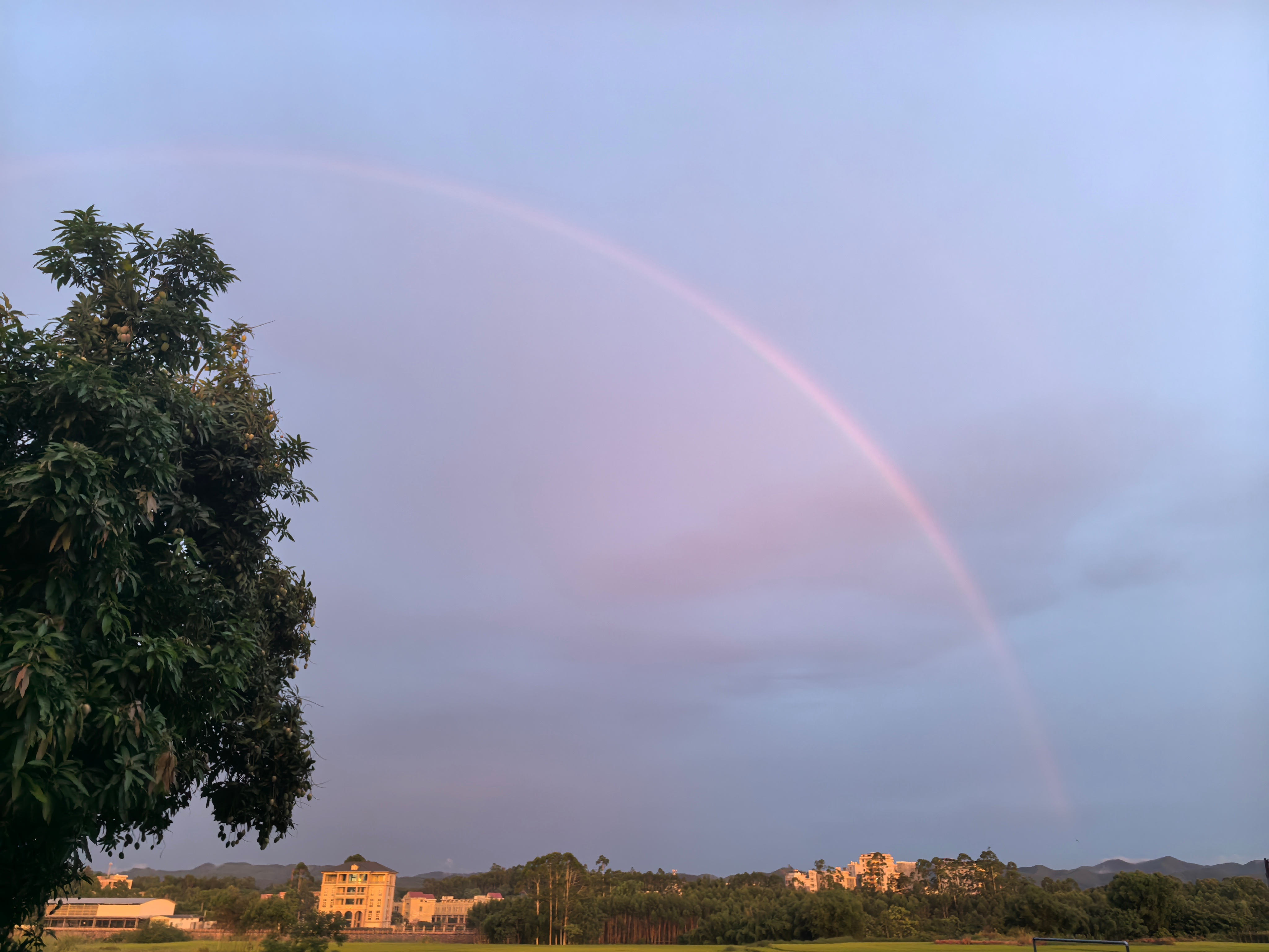 稍纵即逝的🌈🌈 