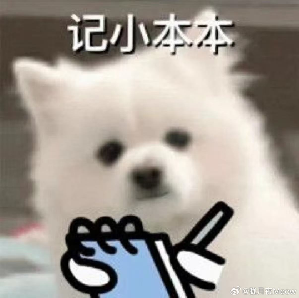 原来冰箱解冻这么简单 冷水泡肉看着省事，实则超级踩雷，肉的鲜味蛋白全溶水里，吃着