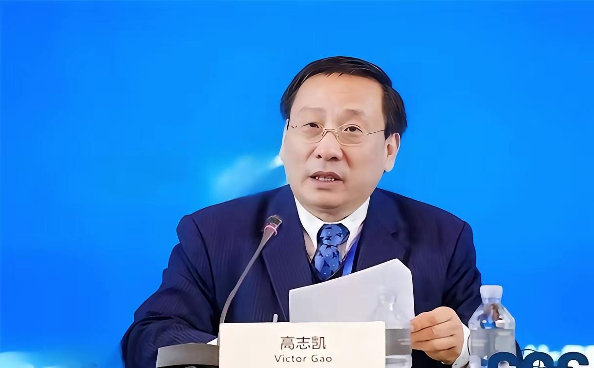 高志凯教授这个好主意值得点赞！
高教授认为应该把台湾2300万人口的户口簿认真查