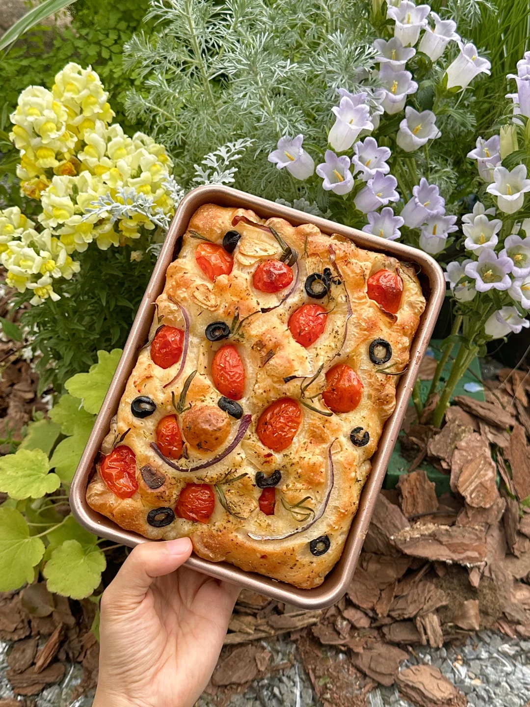 在CycleLiving揉了面包佛卡夏🍅🌿🍞