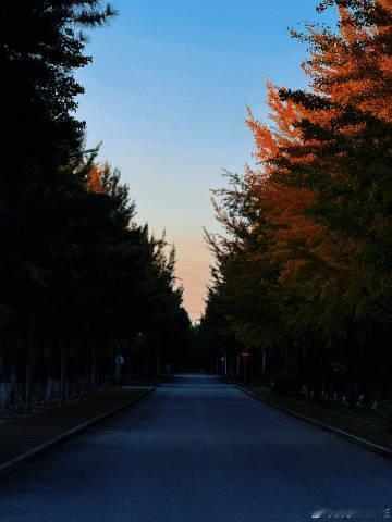 白宇冬去春来杀青照 白宇冬去春来杀青，恭喜白宇新剧杀青，冬已至，春会来，期待新剧