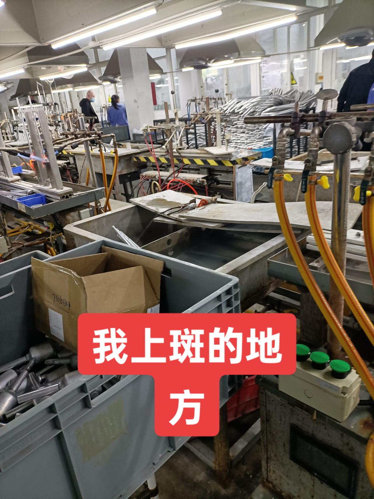 有没有跟我一起上班的小伙伴？