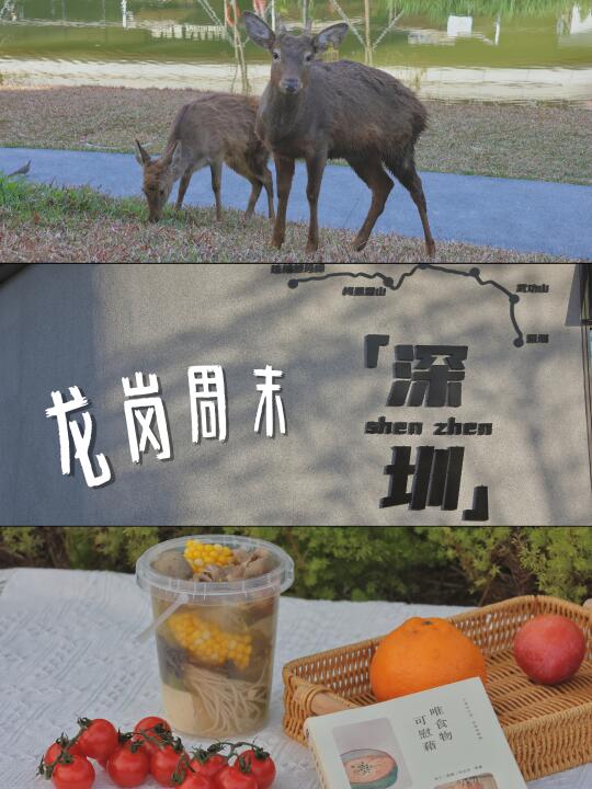当春天遇上花鸟字 用一种很新的方式过春天