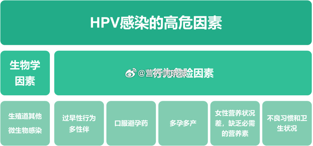 #HPV疫苗需要纠结几价吗##让她健康##健闻登顶计划# HPV病毒，也叫人乳头