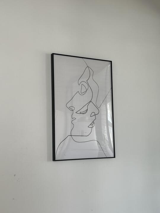 一根线也能画出的肖像画