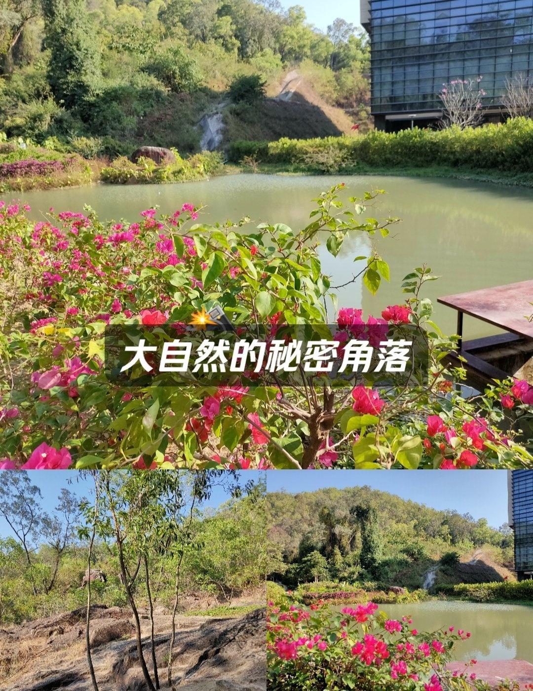 大自然的秘密角落
📍杭州