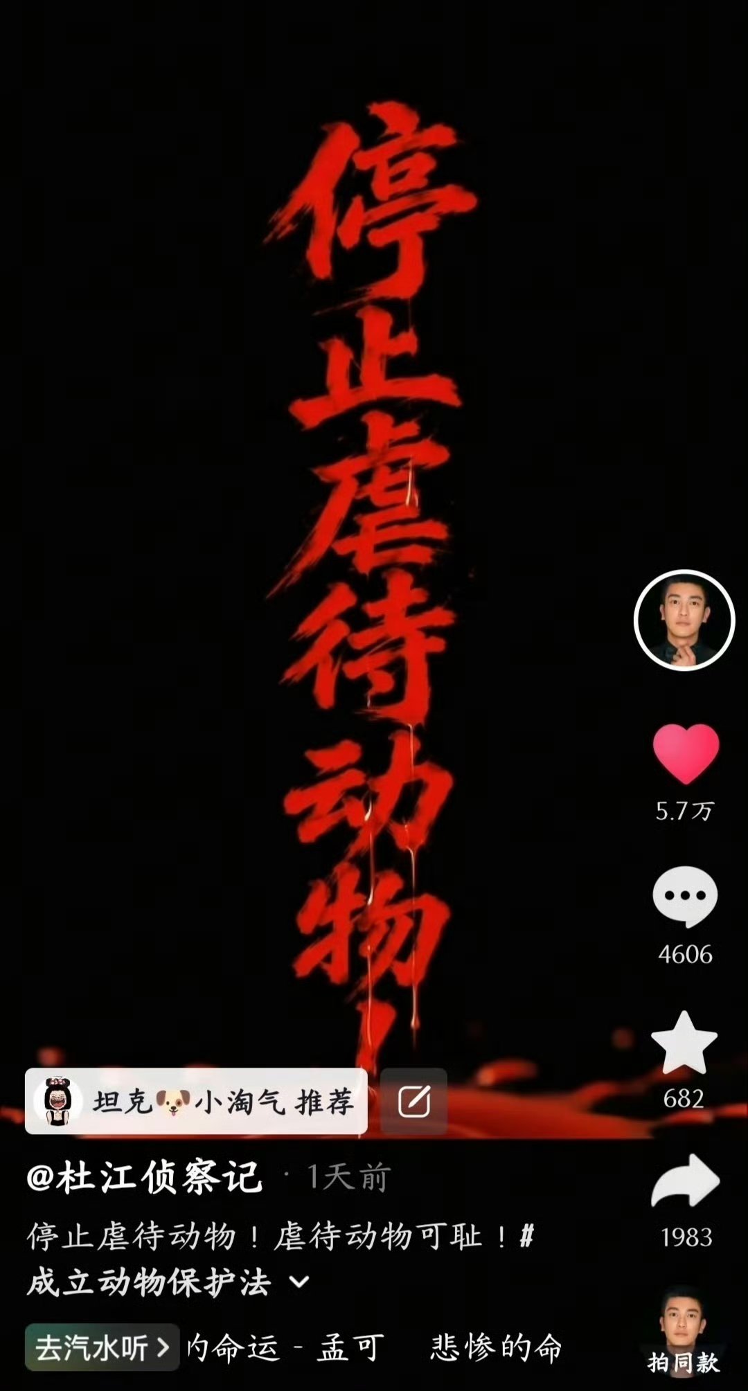 杜江发声真的挺佩服杜江的，平时家里收养好多流浪受伤小狗，一直坚持领养不购买。这次