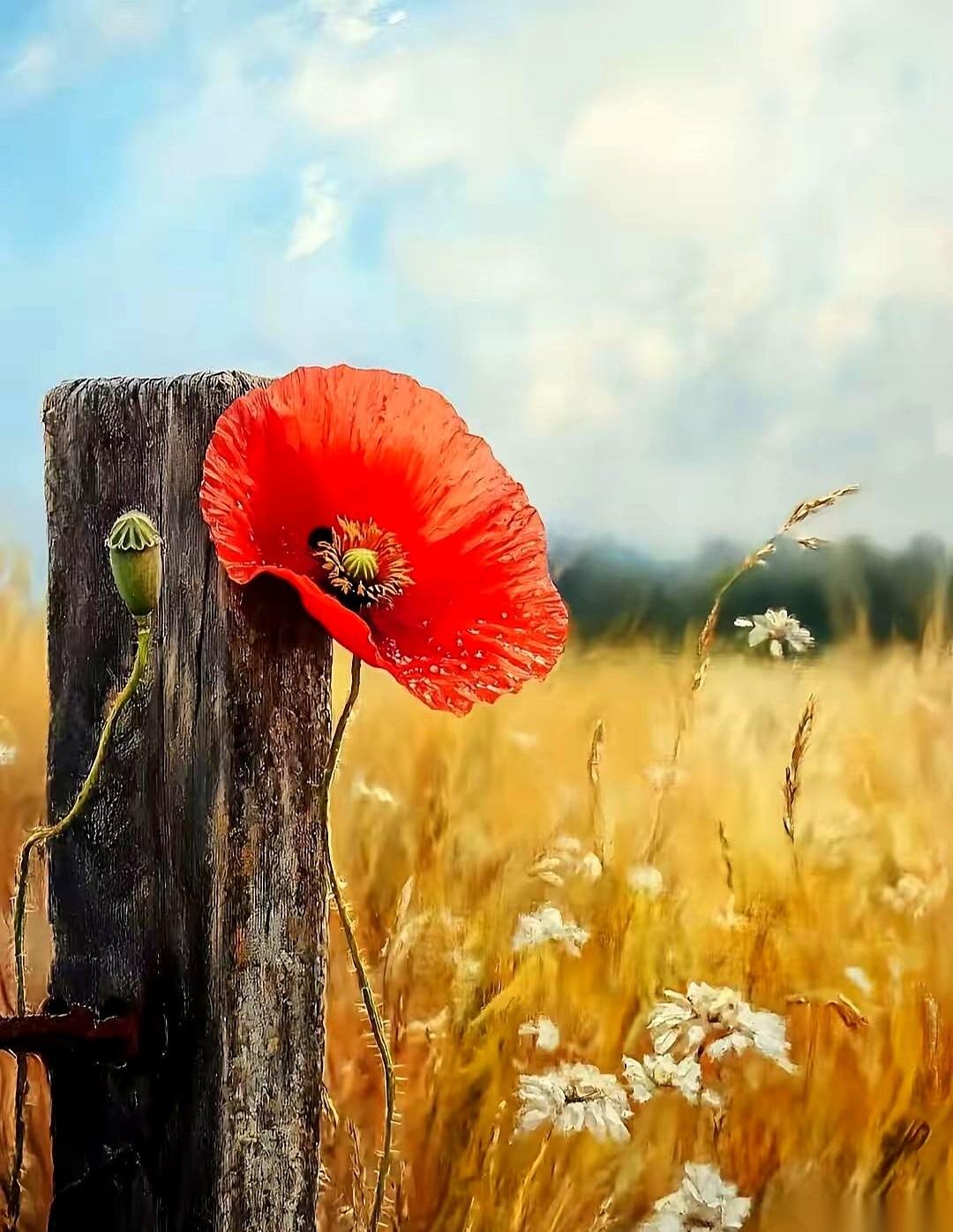 你牛？你厉害？你混得好？
可只要人家不求你，不拿正眼瞧你，你在他眼里就屁都不是。