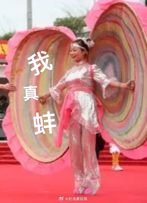 小猫居然分得清睡衣和出门衣服我觉得这对于嗅觉敏锐的小猫来说…困难度简直是负一万分
