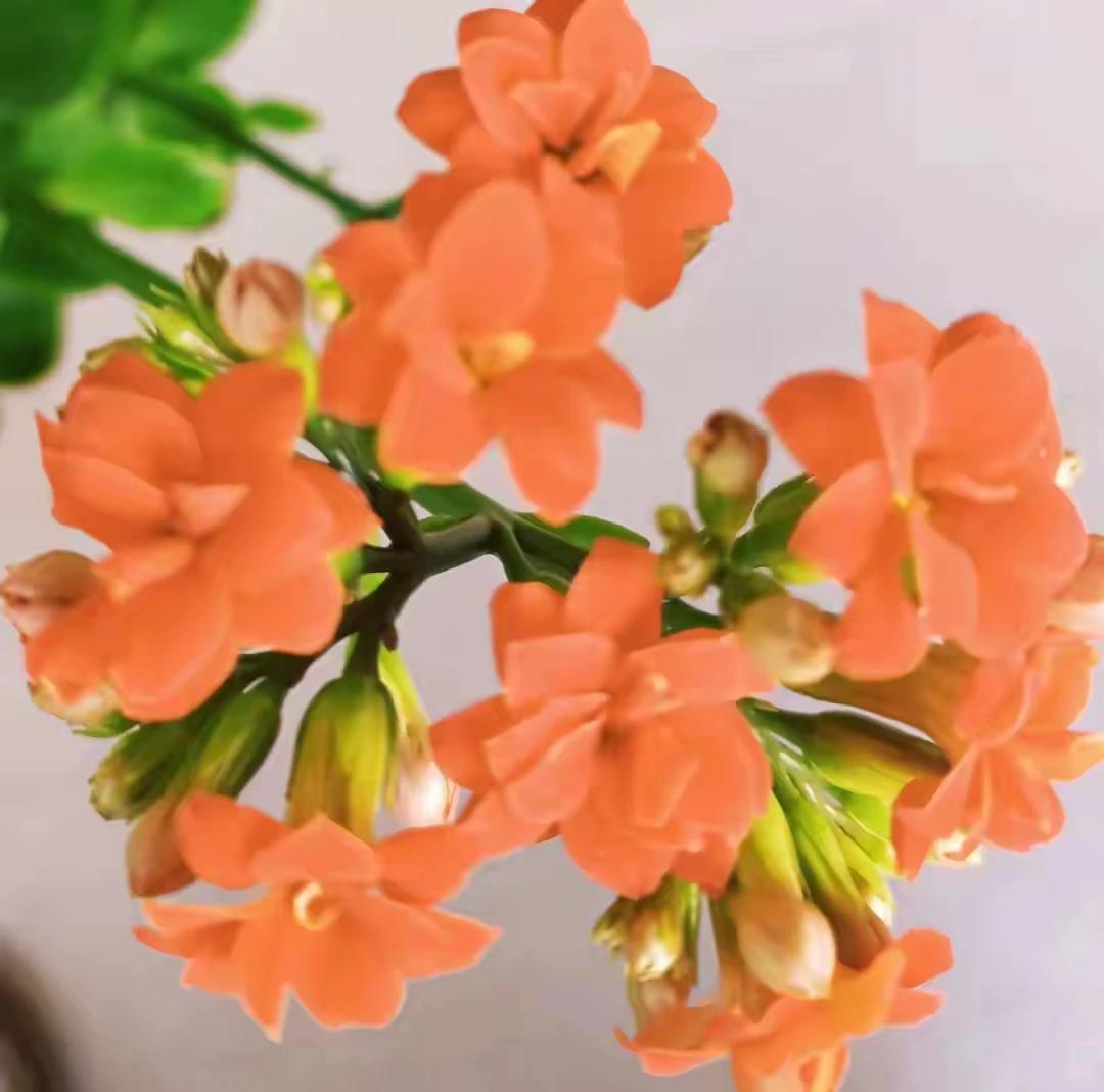 致敬铁血烈女！！
[赞][赞][赞][赞][赞][作揖][作揖][作揖][玫瑰]