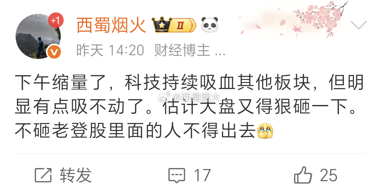 昨天市场上很多人其实都预料到了今天要砸盘，科技分歧越来越大，资金会越来越聚焦有业
