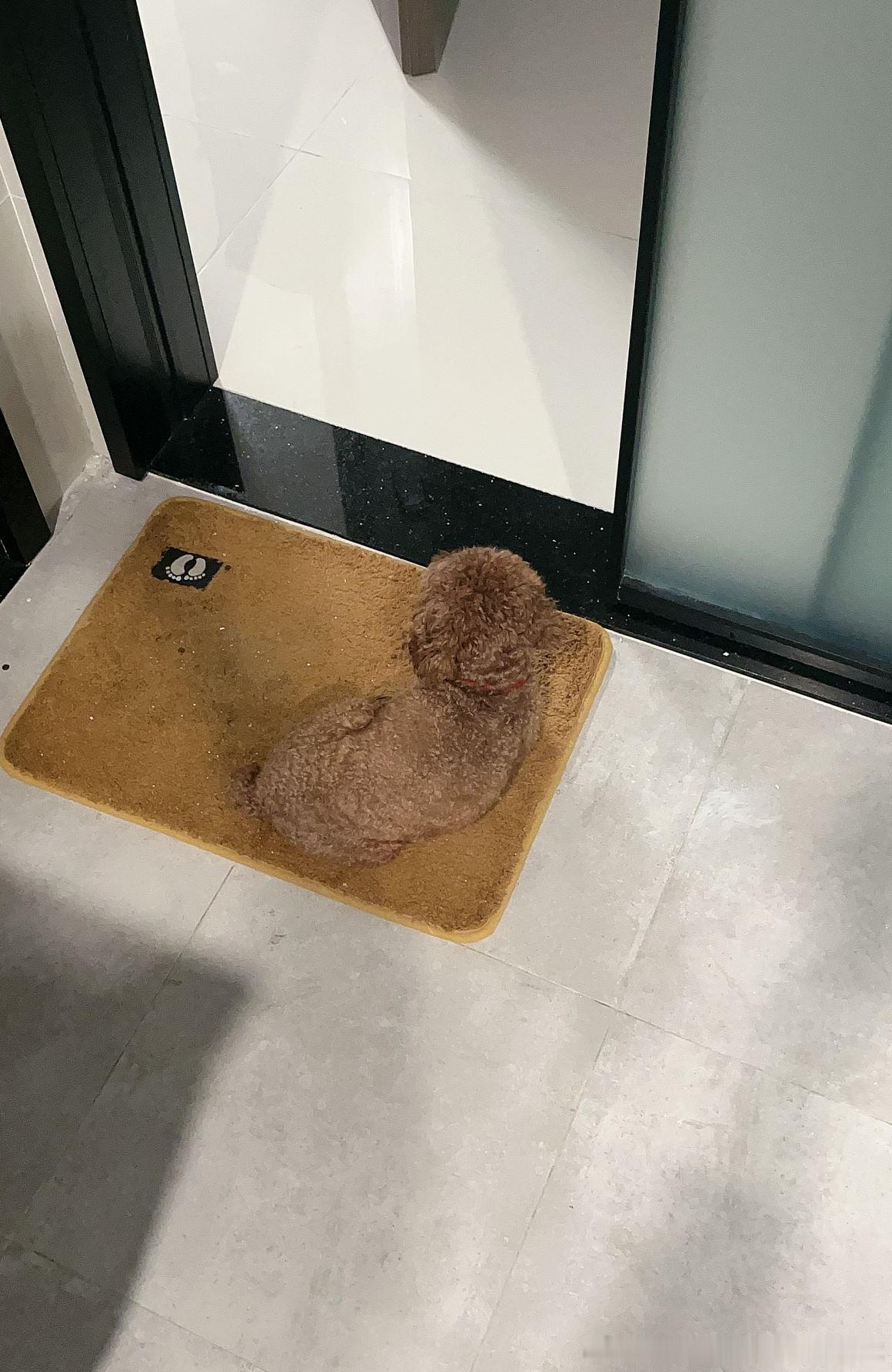 差点一脚踩上去（） 