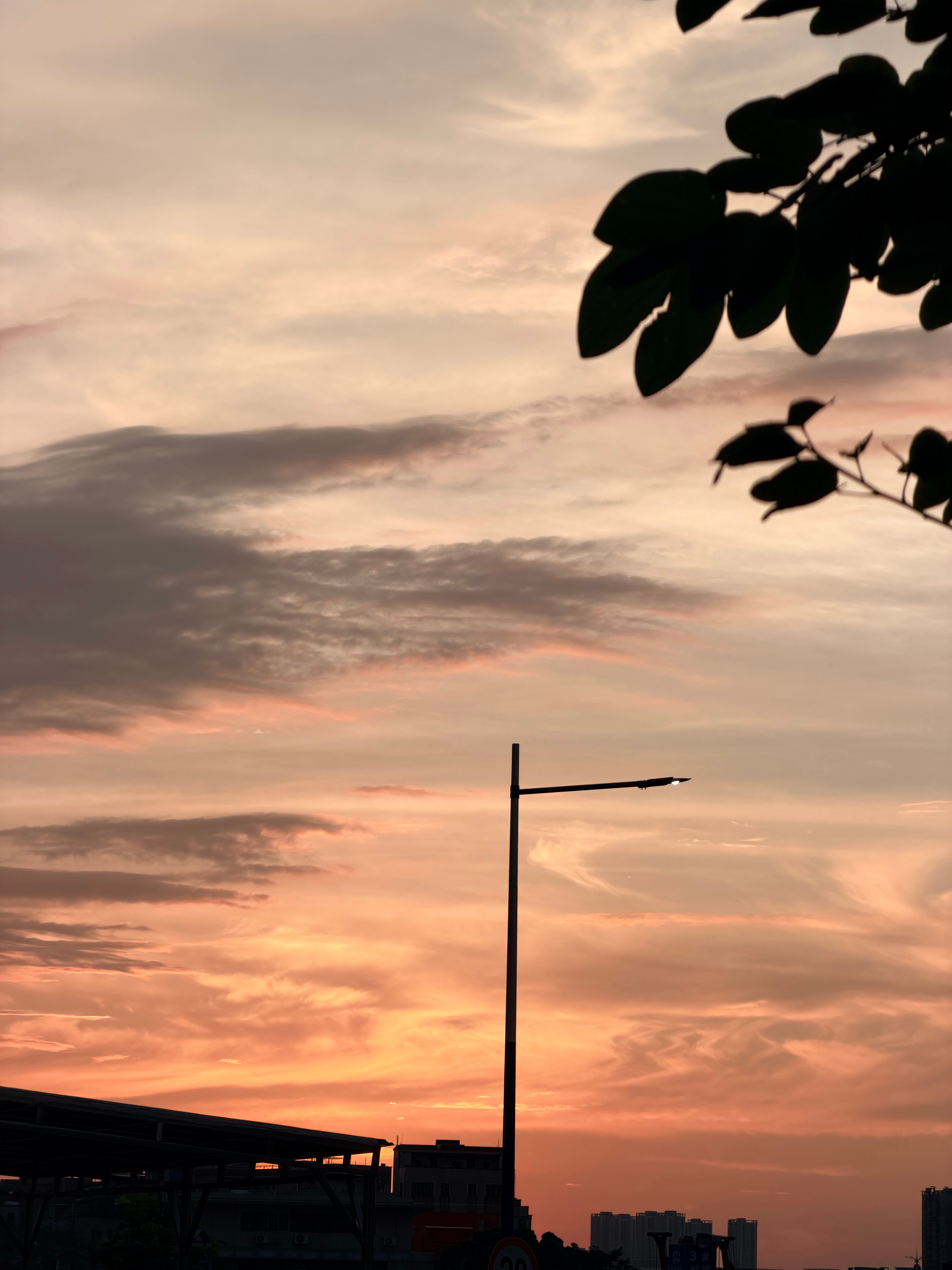 🌇