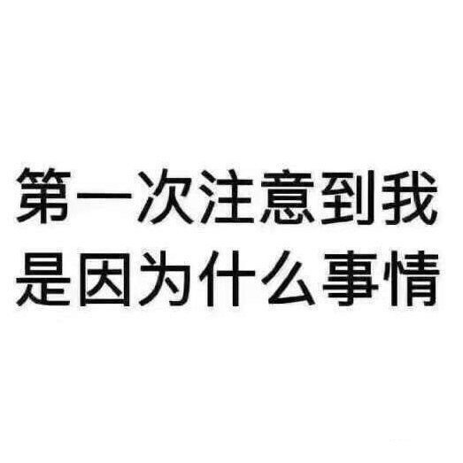 或许大概除了文还有其他的嘛🤔 ​​​