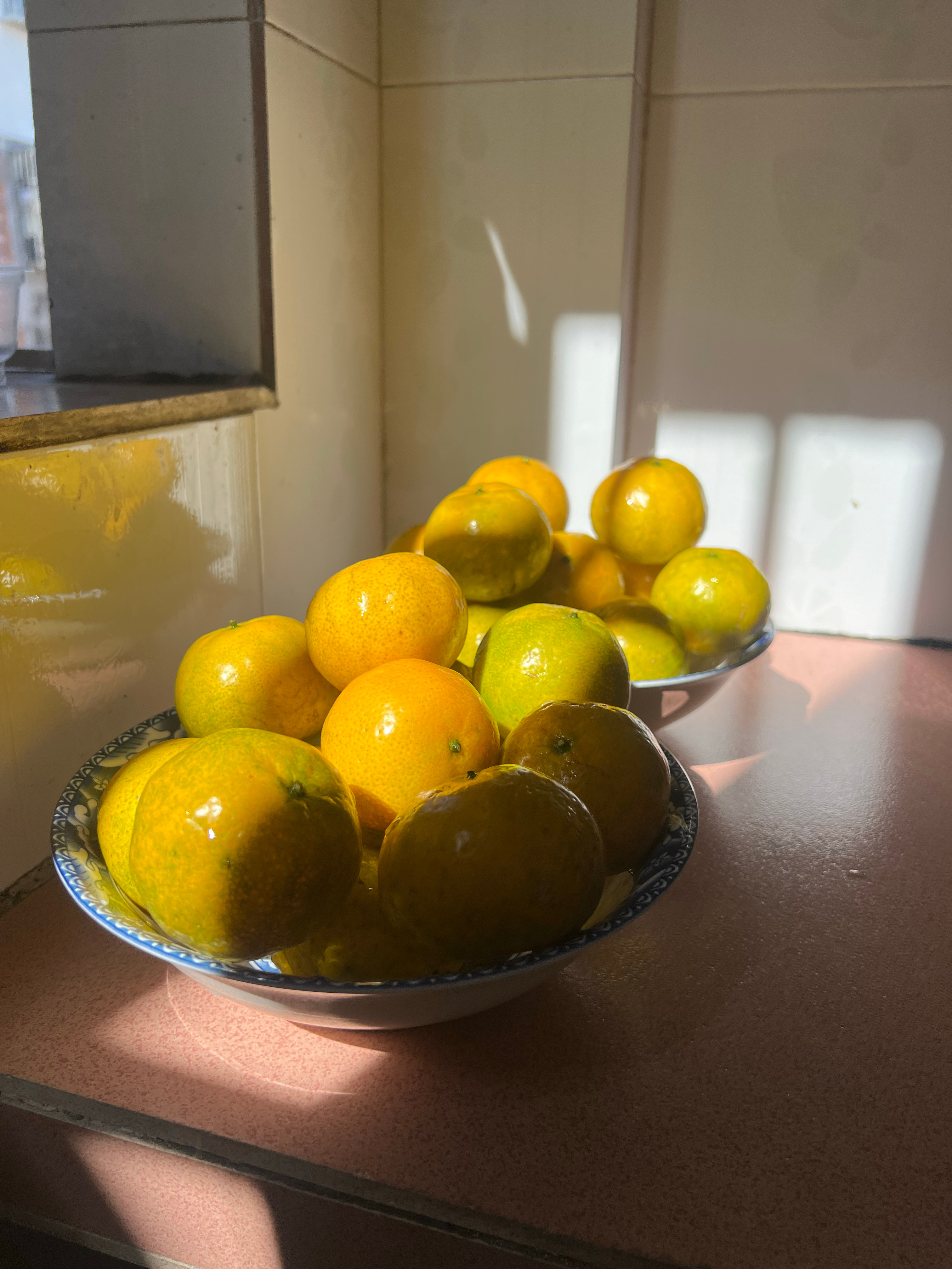 新会茶枝柑新会陈皮