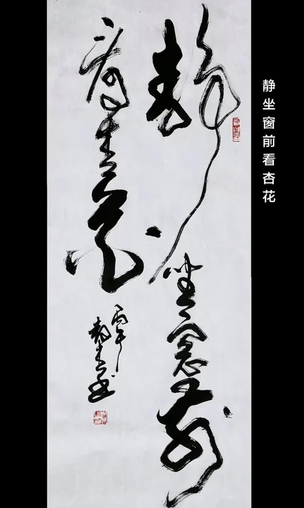 静坐窗前看杏花。