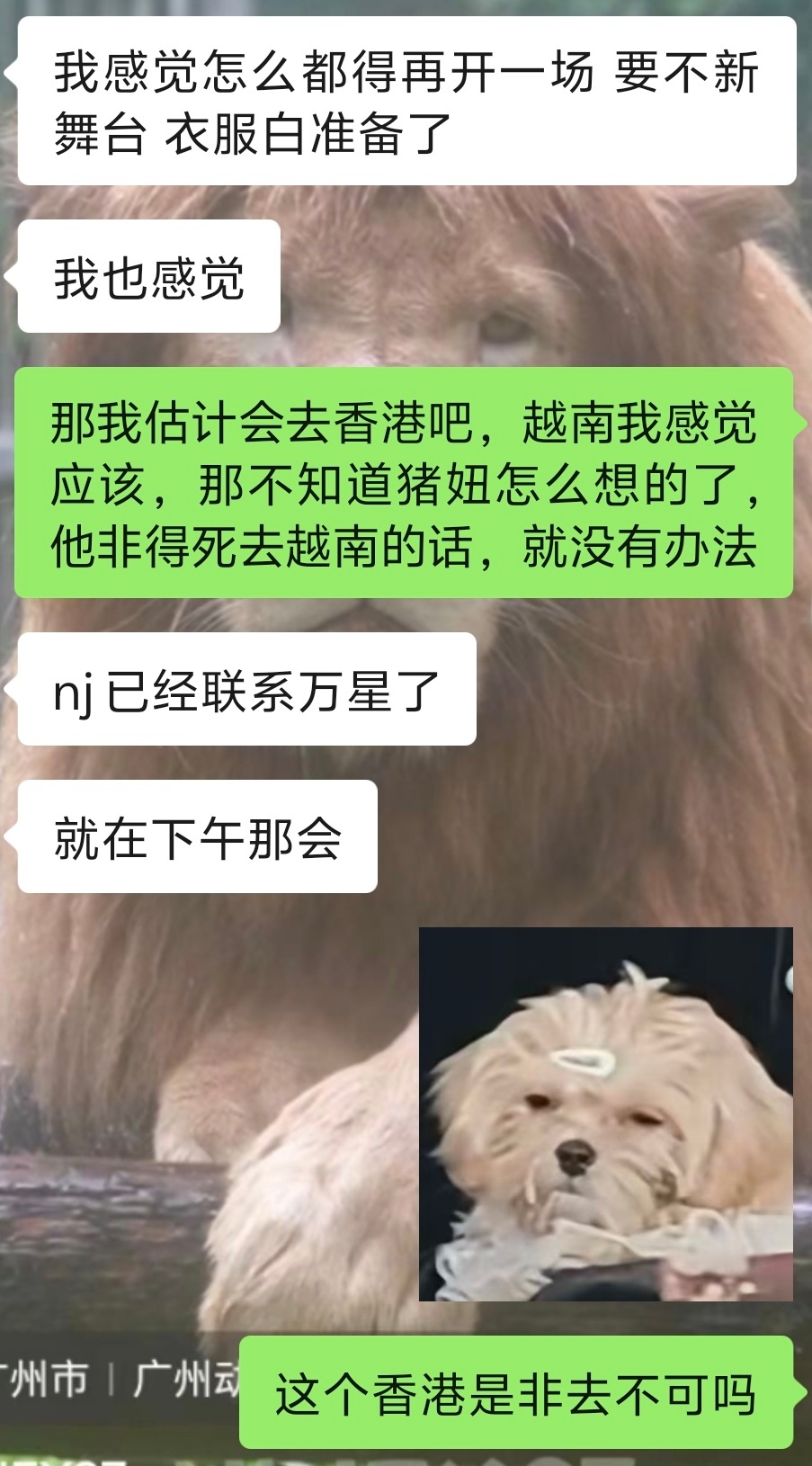 假期戛然而止