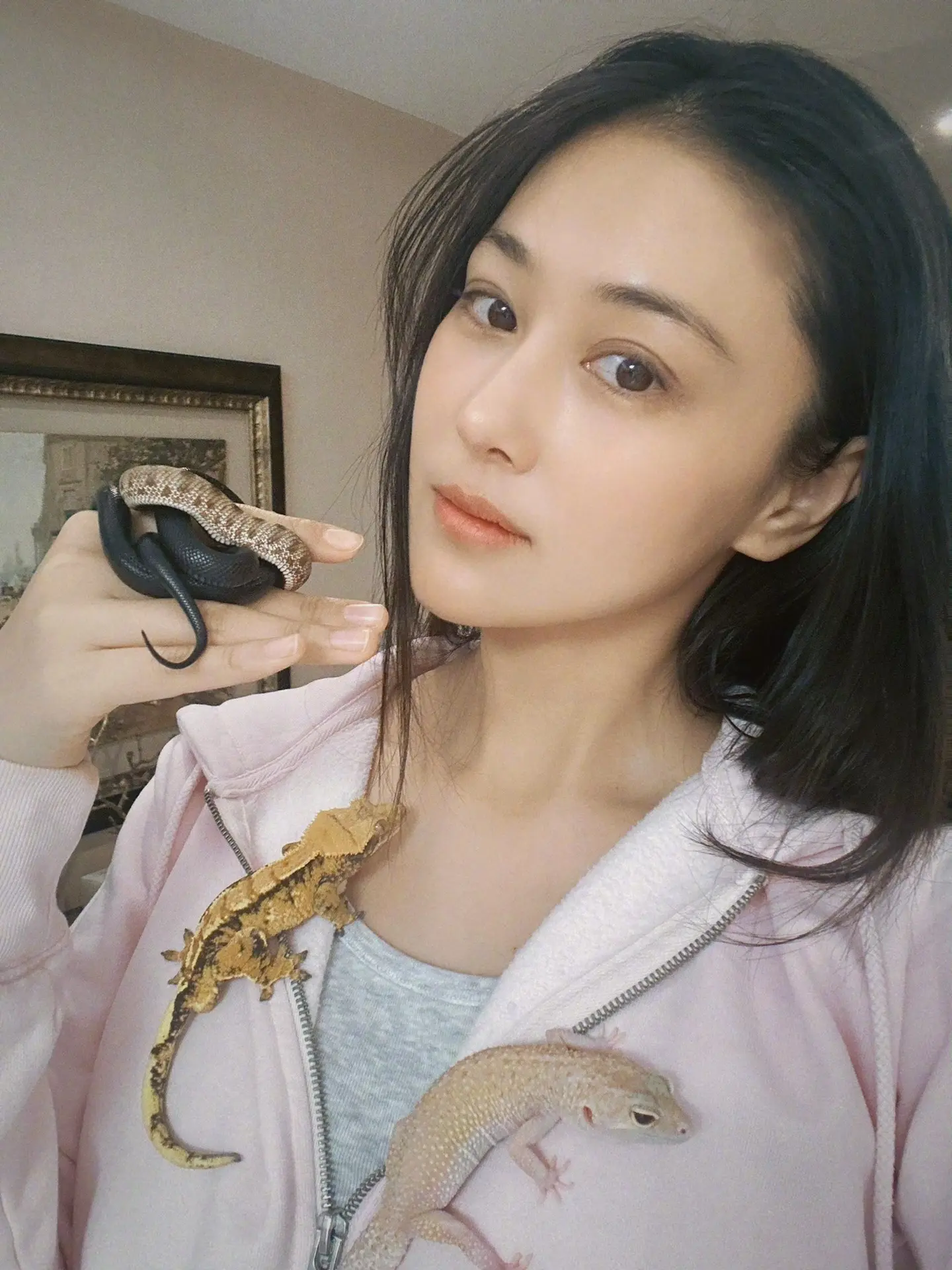 超爱大自然的猫猫