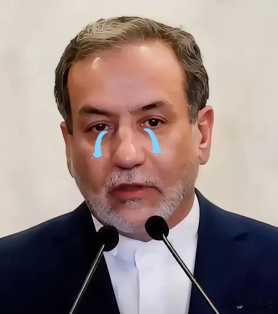 4月18日，一则沉甸甸的消息传来：伊朗烈士和退伍军人事务基金会主席穆萨维正式宣布