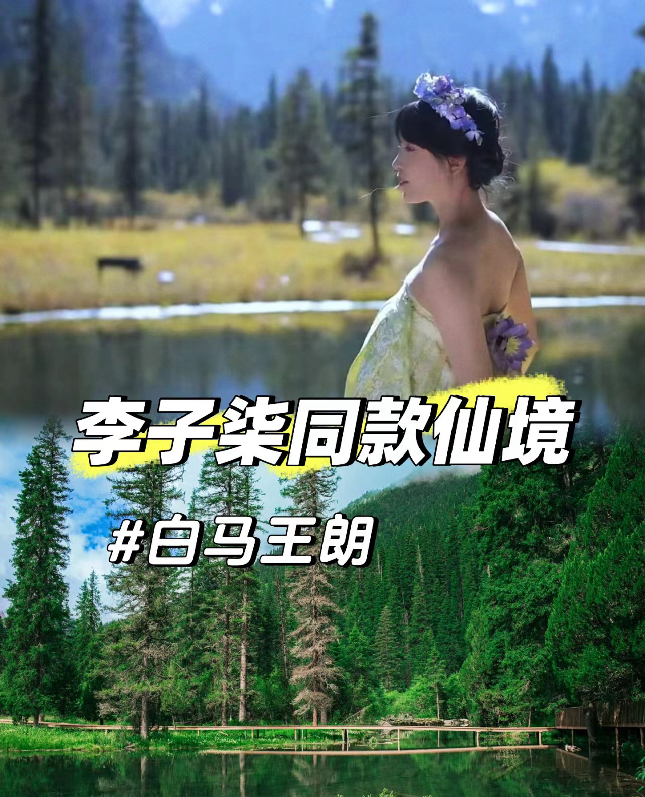 🌳白马王朗 | 跟随李子柒探寻这片仙境🎉停更1000余天的李子柒重磅回归啦！