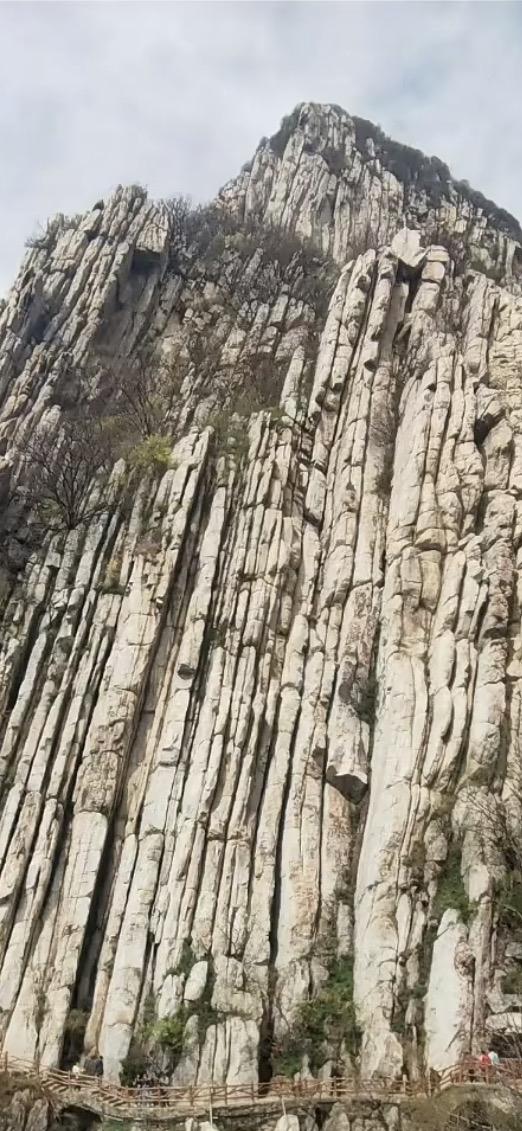 春日生活打卡季