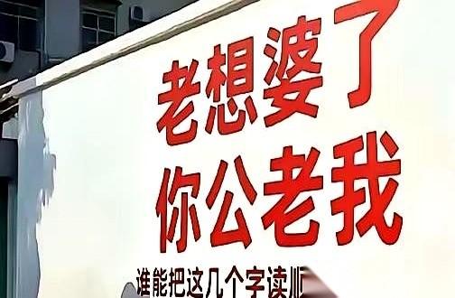盯着屏幕看了足足十分钟，这哥们儿的眉头已经拧成了一个死结。
字儿，拆开看明明全认