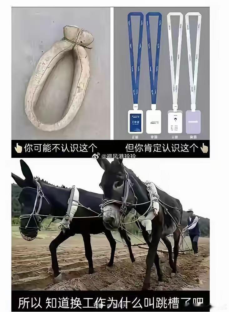 "跳槽"，网络流行语，原指牲口离开所在槽头到别的槽头去吃食，后衍生出多重比喻义。