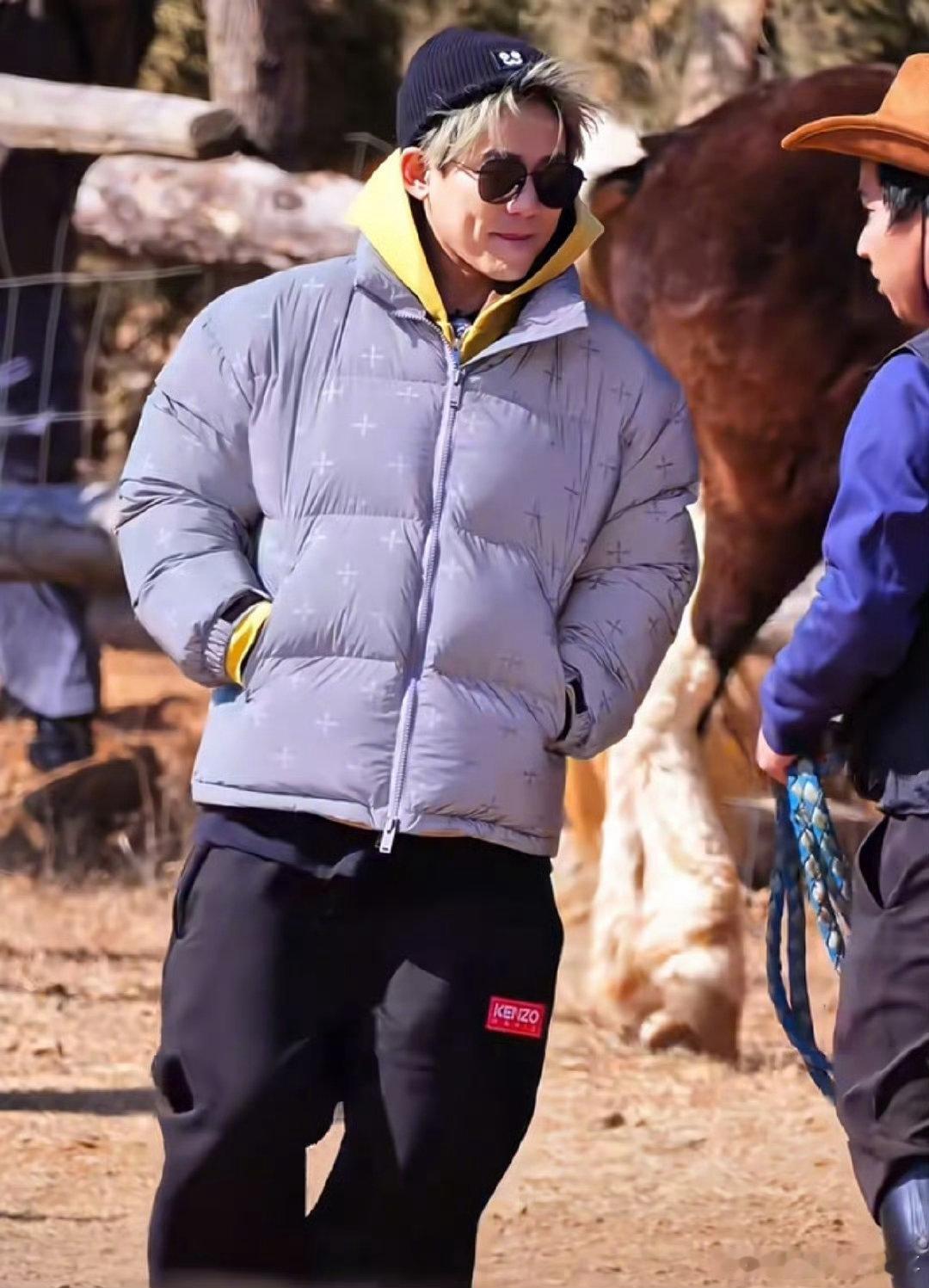 苏醒这张照片算工伤快乐老友记 家人们快笑疯！苏醒骑马侧拍成喜剧现场，镜头这“独特