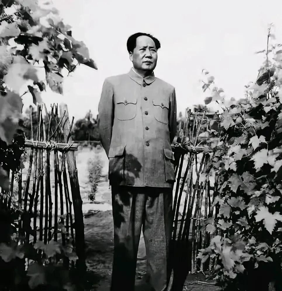 毛主席到咱农家院！