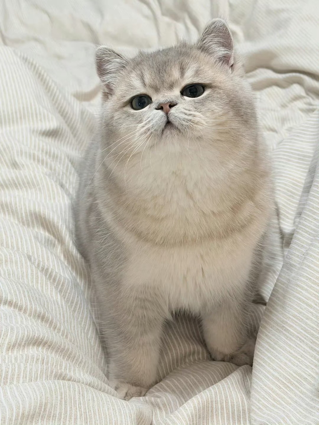 夏日爱心站邱鼎杰