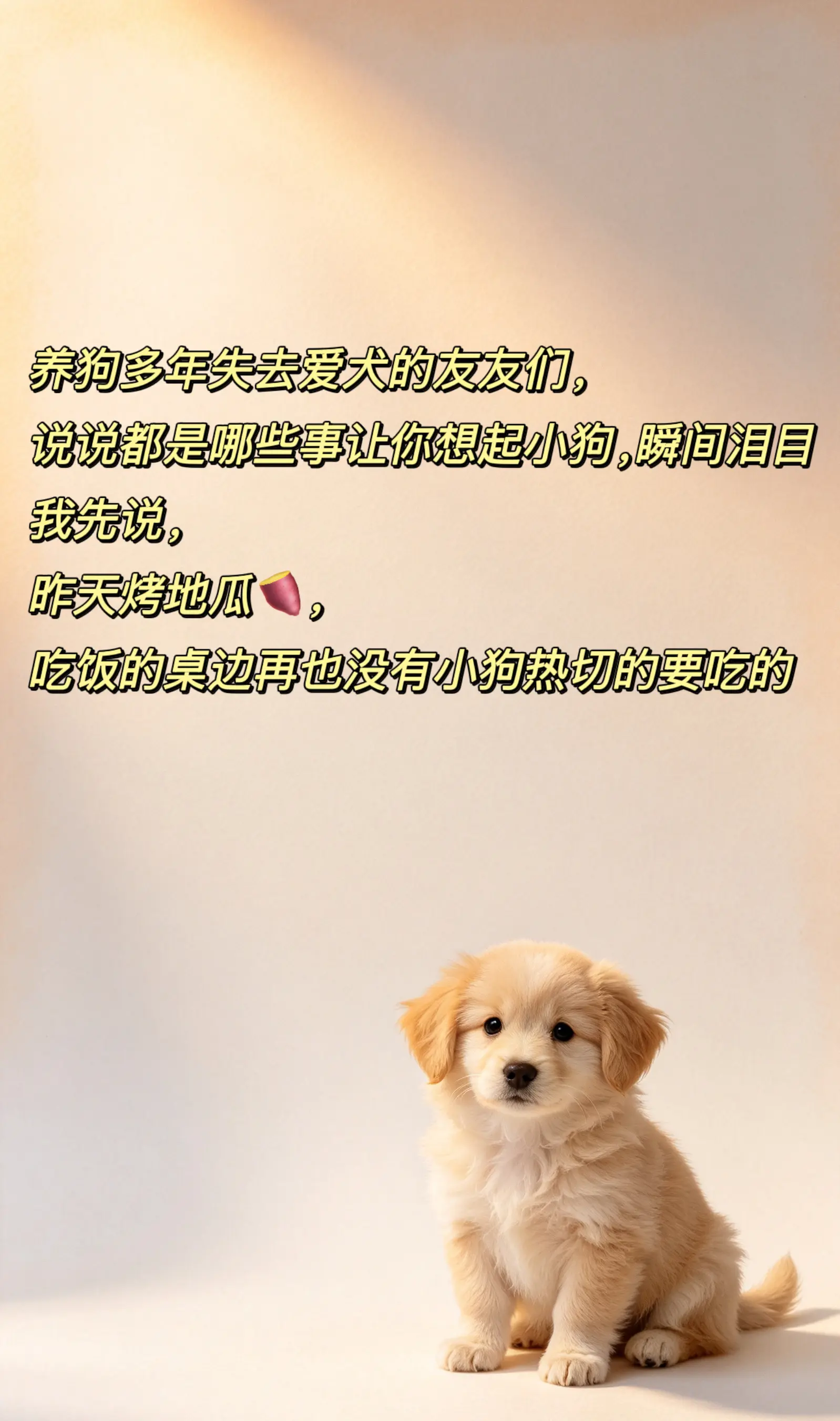我不敢想象，当我在路上看见一只和我的狗长得像的大金毛，我会怎样