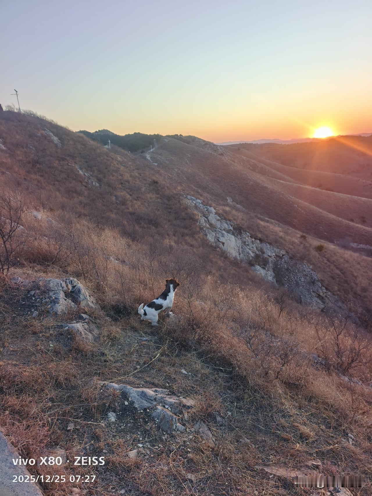 2026年最想实现的一件事，就是带着我们家的毛孩子，走遍家乡附近的山山水水，既锻