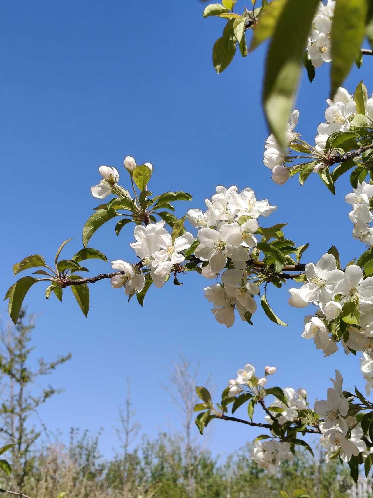 一句话概括，幸福是什么⊙∀⊙？幸福就是花未全开，月未圆，人生最美是小满！